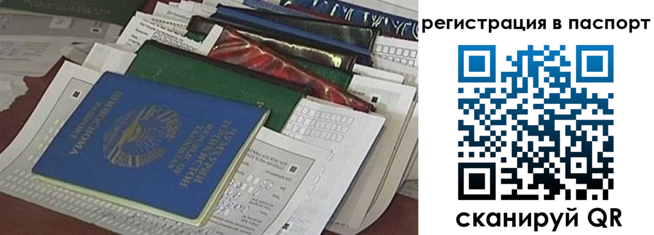 пропишу в квартире в Калининграде