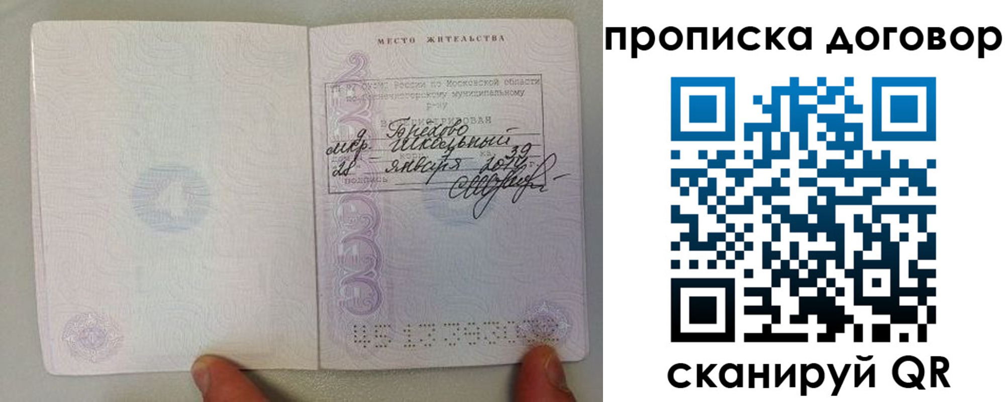 прописка поиск в Калининграде